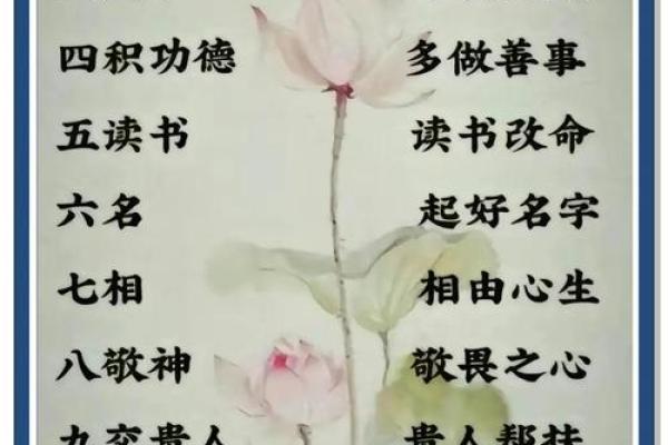命理人生，探寻命运与命运的交织