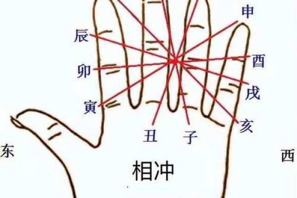 地支相冲揭秘：日月争辉背后的秘密