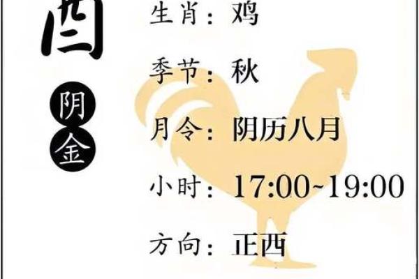 酉金流光：揭秘地支的神秘力量