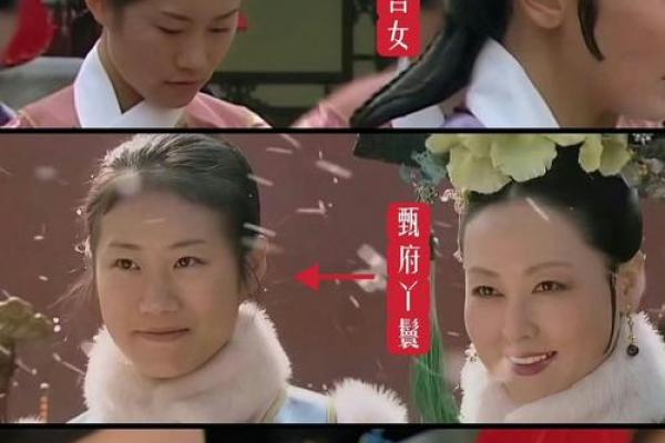 魅力十二宫：后宫妃子们的爱恨情仇