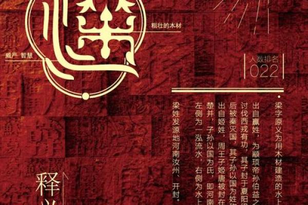 面相识姓：一瞥之间，揭秘姓氏奥秘