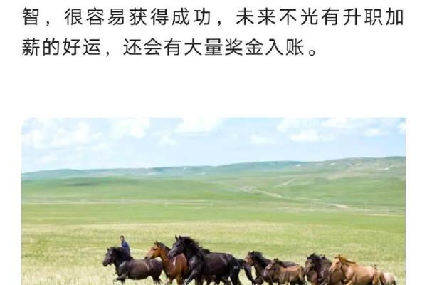 手握成功，中年辉煌揭秘