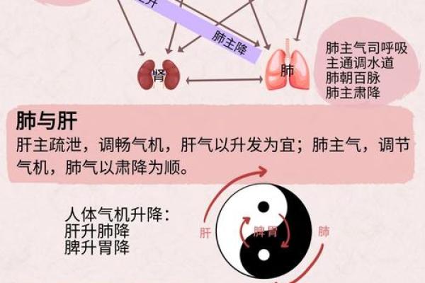 五脏和谐，家居风水布局秘法大公开