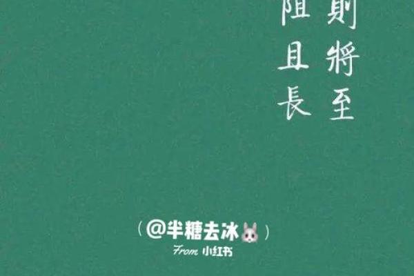 曹硕：稳健之才，硕果累累，未来可期