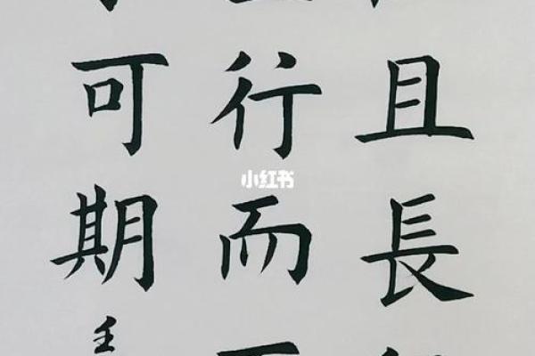曹硕：稳健之才，硕果累累，未来可期
