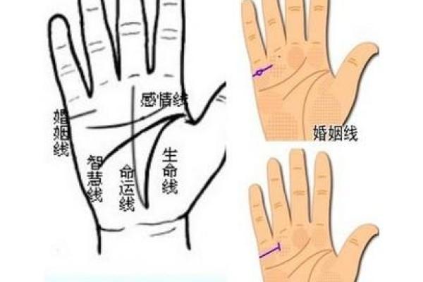 手上乾坤：手相解析，教你如何过上好日子