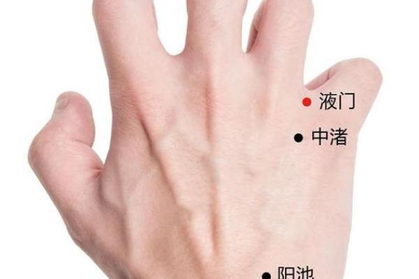 神秘左肚脐：揭秘男人魅力之源