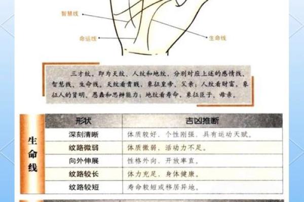 手相揭秘：掌握运势的神秘密码