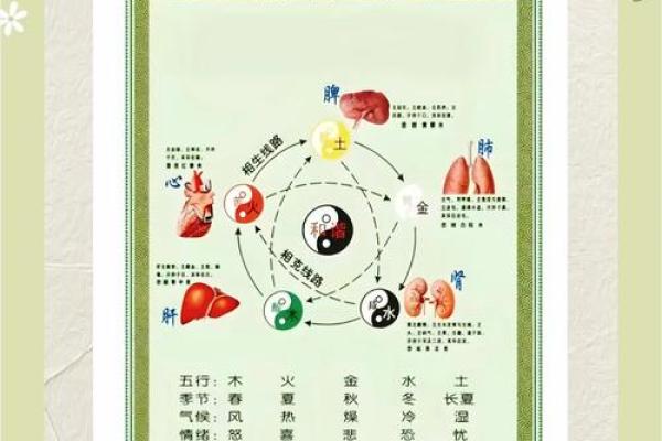解密英文字母五行背后的文化意义