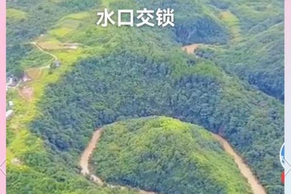 水在风水学中的重要性与应用探讨