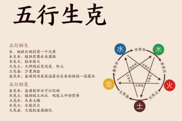 五行查询，揭示人生的隐藏奥秘