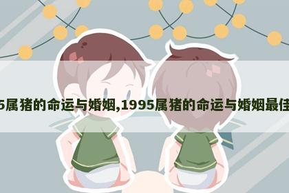 1995属猪的命运与婚姻,1995属猪的命运与婚姻最佳配偶