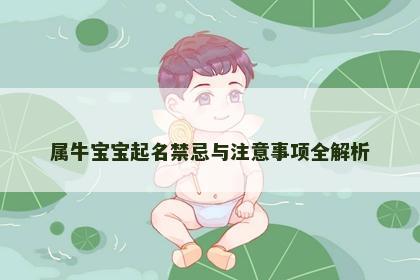 属牛宝宝起名禁忌与注意事项全解析