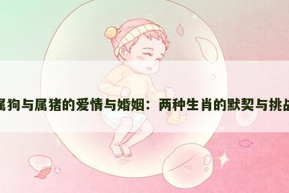 属狗与属猪的爱情与婚姻：两种生肖的默契与挑战