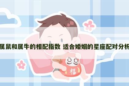 属鼠和属牛的相配指数 适合婚姻的星座配对分析