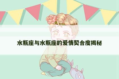 水瓶座与水瓶座的爱情契合度揭秘