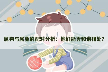 属狗与属兔的配对分析：他们能否和谐相处？