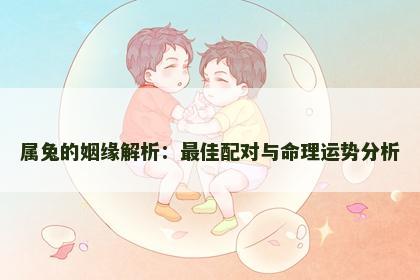属兔的姻缘解析：最佳配对与命理运势分析