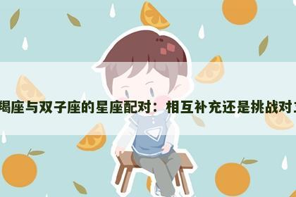 摩羯座与双子座的星座配对：相互补充还是挑战对立？