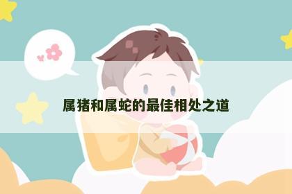 属猪和属蛇的最佳相处之道