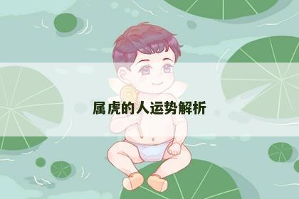 属虎的人运势解析