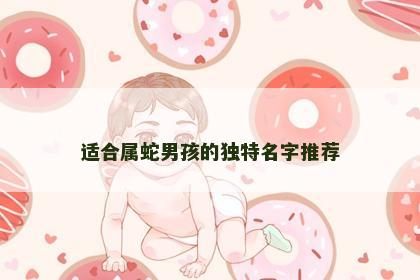 适合属蛇男孩的独特名字推荐