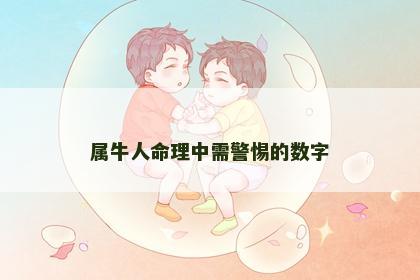 属牛人命理中需警惕的数字