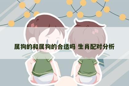 属狗的和属狗的合适吗 生肖配对分析