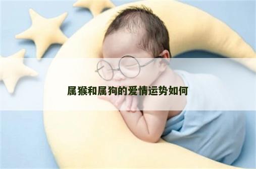 属猴和属狗的爱情运势如何