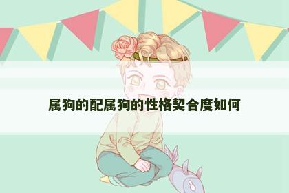属狗的配属狗的性格契合度如何