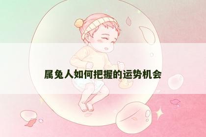属兔人如何把握的运势机会