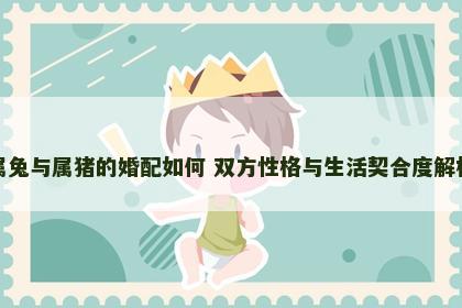 属兔与属猪的婚配如何 双方性格与生活契合度解析