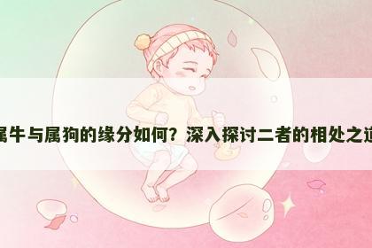 属牛与属狗的缘分如何？深入探讨二者的相处之道