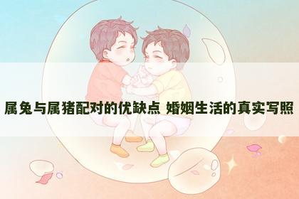 属兔与属猪配对的优缺点 婚姻生活的真实写照