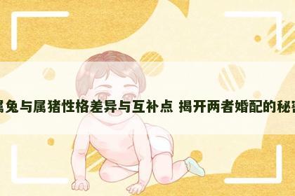 属兔与属猪性格差异与互补点 揭开两者婚配的秘密