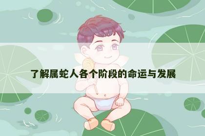 了解属蛇人各个阶段的命运与发展