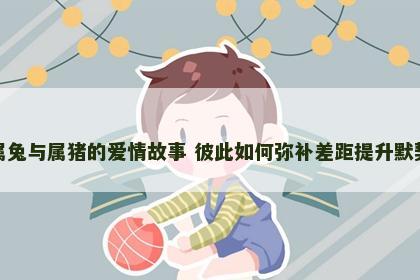 属兔与属猪的爱情故事 彼此如何弥补差距提升默契