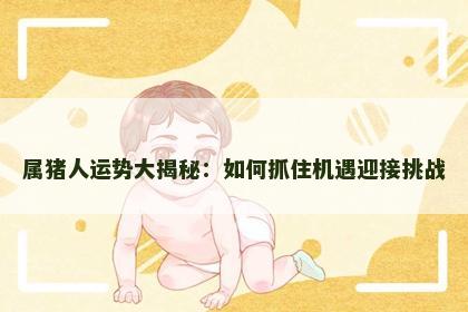 属猪人运势大揭秘：如何抓住机遇迎接挑战