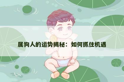 属狗人的运势揭秘：如何抓住机遇