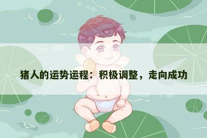 猪人的运势运程：积极调整，走向成功